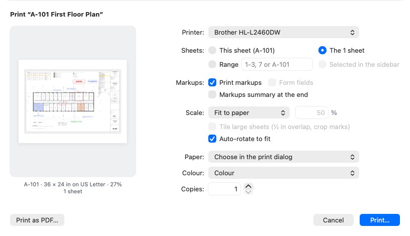 The Print sheet: the sheet's preview at the left, the choices at the right
